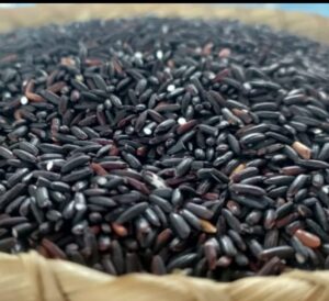 Black Rice screenshot 2026 05 08 08 17 28 54 7352322957d4404136654ef4adb64504